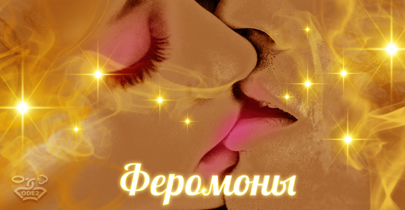 слайдер 44